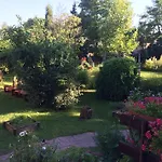 Ida Lajosmizse